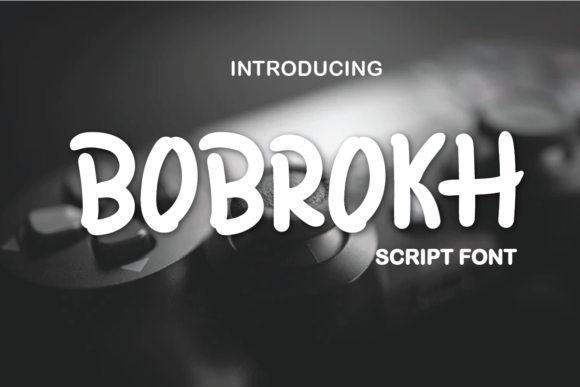 Bobrokh Font: A Quirky Display Typeface for Business Owners