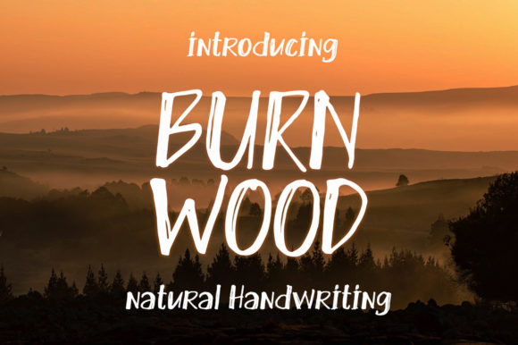 Burn Wood Display Font for Creative Web Design