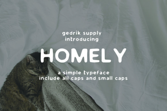 Homely Font: A Vintage Touch for Business Branding
